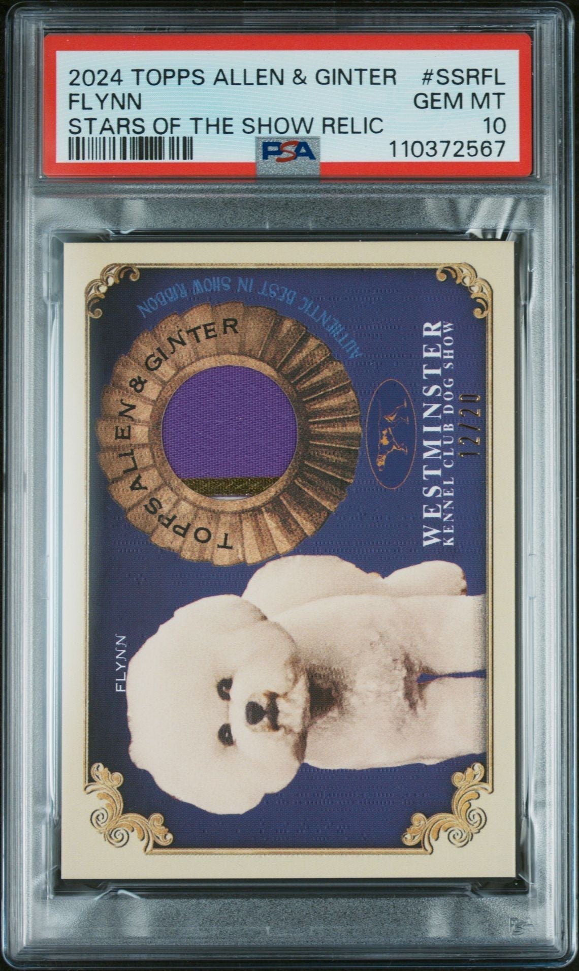 2024 Topps Allen & Ginter Stars Flynn #Ssrfl Relic /20 PSA 10